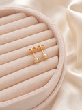 Classic Gold Plated Earrings